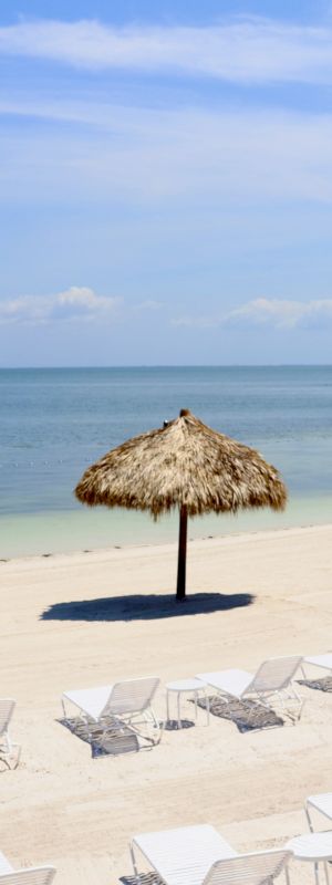 A serene beach with rows of white loungers, straw umbrellas, calm blue sea, and a wooden pier under a clear sky.